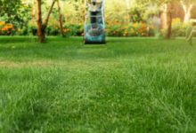 Lawn Care Services for a Lush, Green Lawn All Year Round