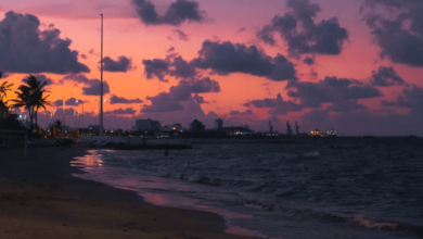 Boat Dealer in West Palm Beach