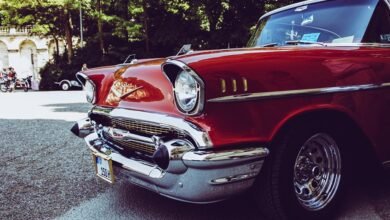 stunning license plate designs