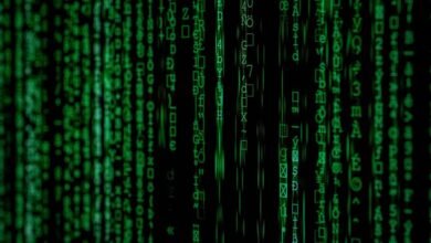 unraveling digital code complexities