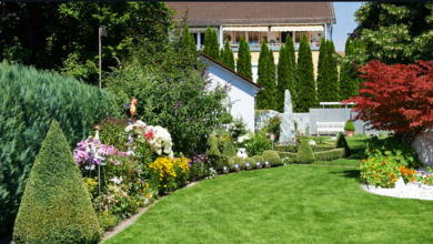 What Should I Consider When Planning a Landscape Design for a Residential Property?