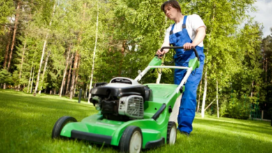 How to Keep Your Mount Pleasant Lawn Healthy Year-Round