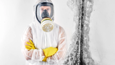 Top 5 Myths About Mold Removal: What You Should Know Before Hiring a Professional