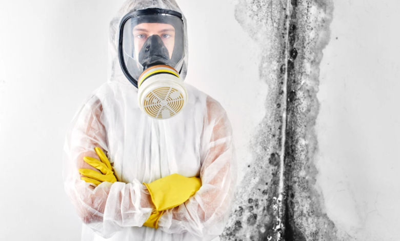 Top 5 Myths About Mold Removal: What You Should Know Before Hiring a Professional