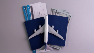 How Passport Agencies Ensure Compliance with Travel Regulations