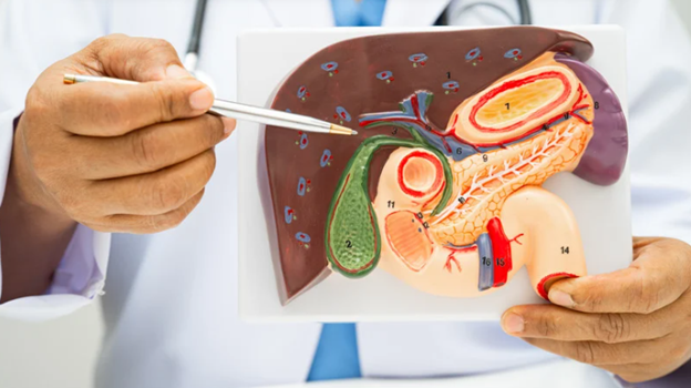 Understanding The Role Of Gallbladder Surgery In Relieving Pain