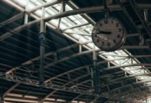 lolcams al platform functionality explained