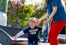 lostark embedtree comprehensive guide