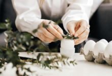 movi zwap organization overview