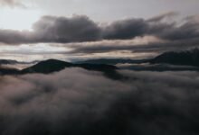 movie overview and details