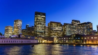 moviesbay functioning explained clearly