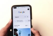 understanding movez wap com