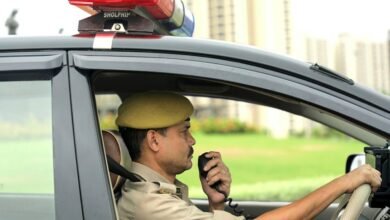 ascent brand authority rise