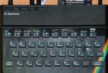 audience growth strategy online