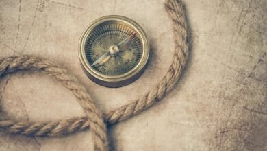 growth direction for expansion