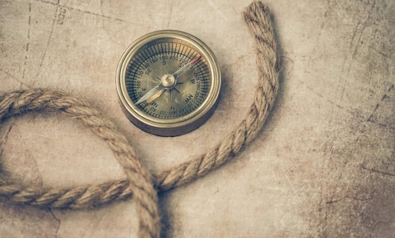 growth direction for expansion