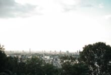 digital advantage dominance achieved