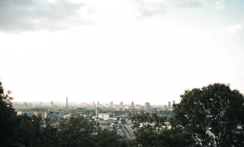 digital advantage dominance achieved