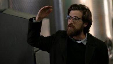 insights on 05036283107