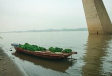 market growth strategy initiative