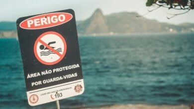 safety notice and reports